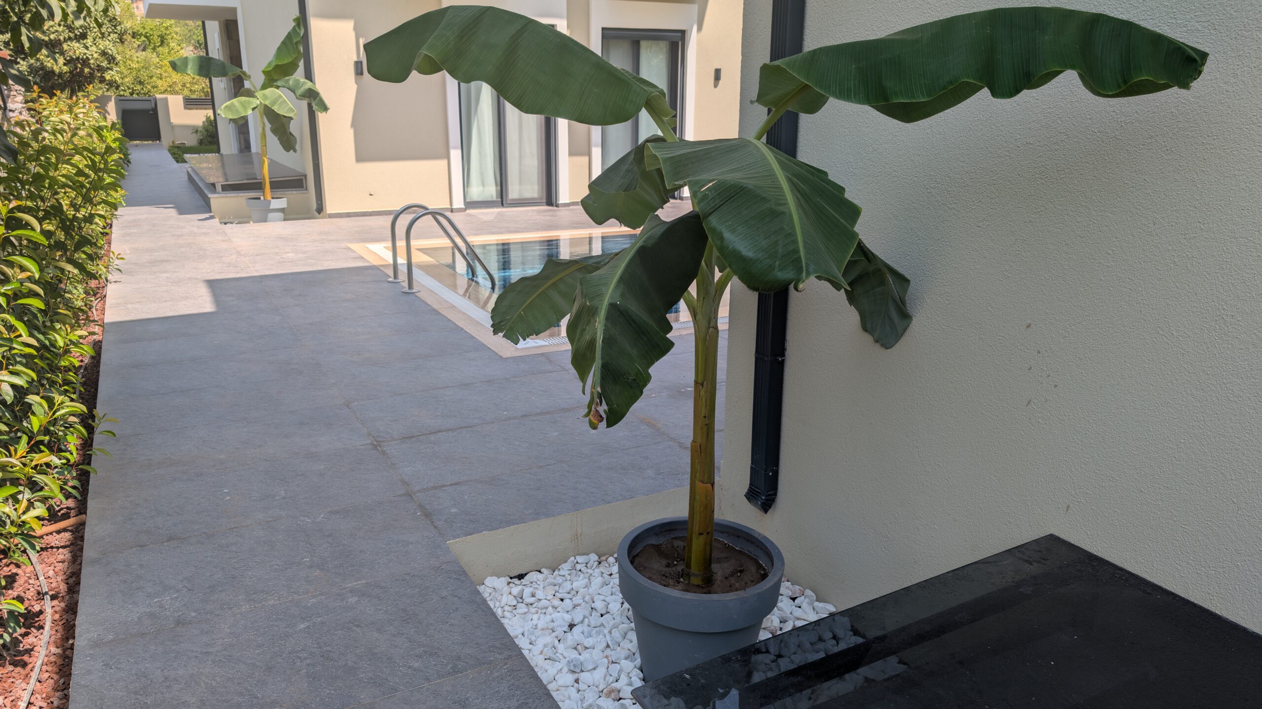 PXL_20250813_114516385